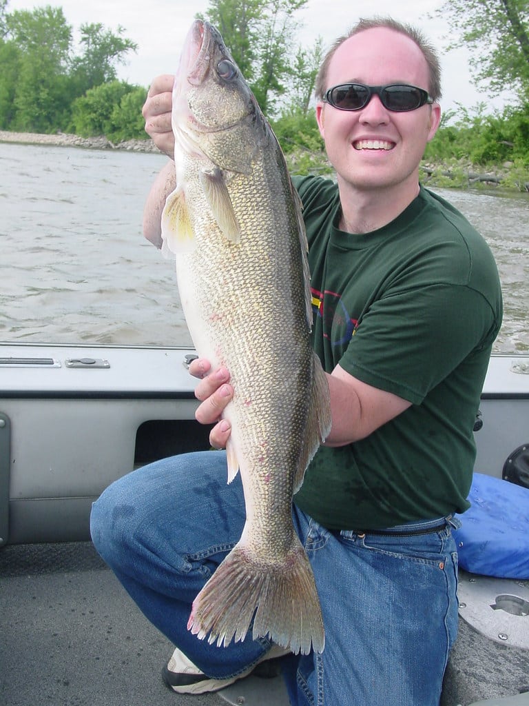 what is a trophy walleye, what is a trophy size walleye, big walleye, trophy walleye size