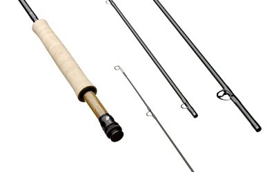 Best Sage X Fly Rod Review