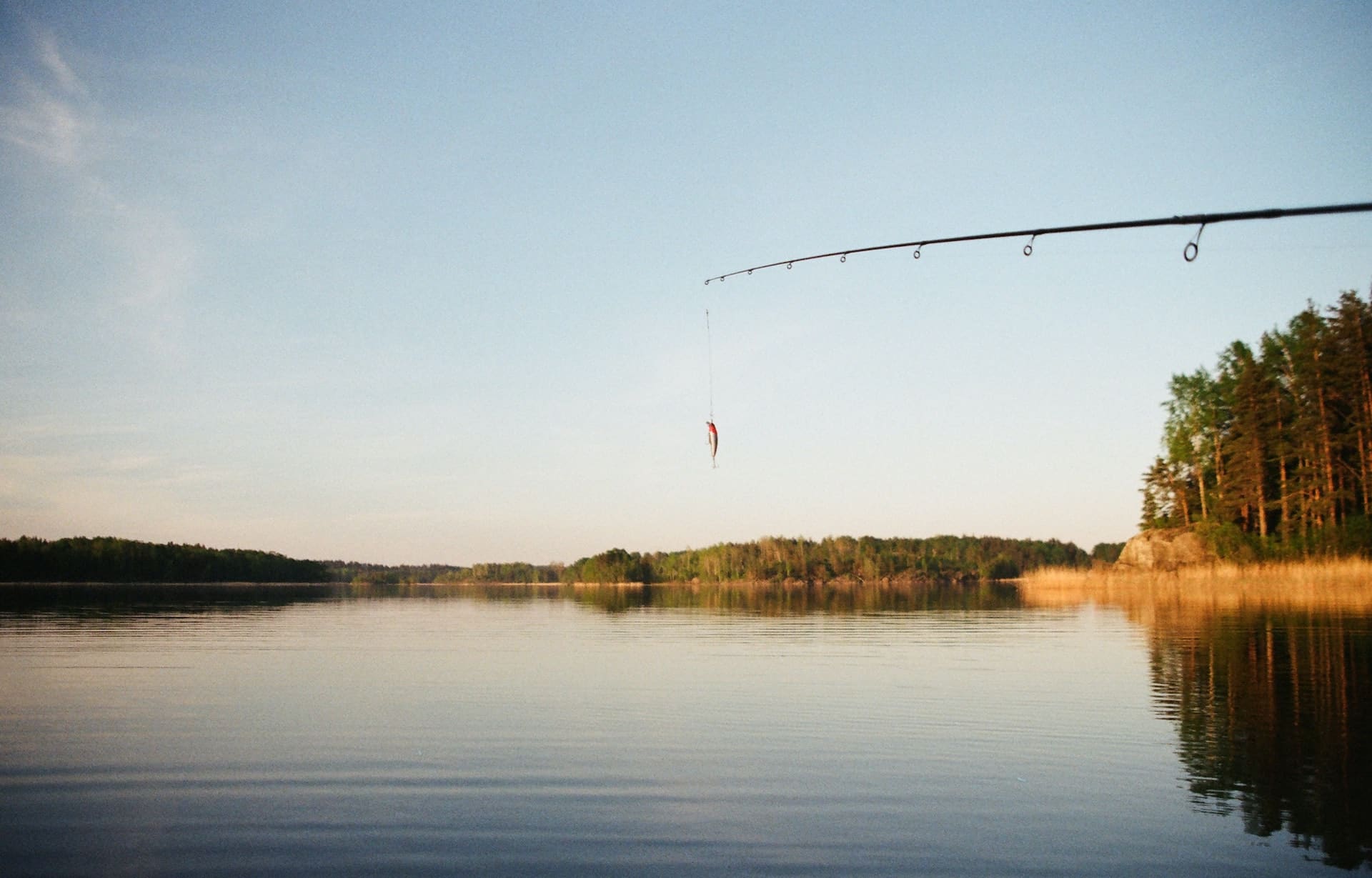 freshwater fishing pros