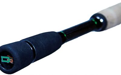 Dobyns Fury Casting Rods Review
